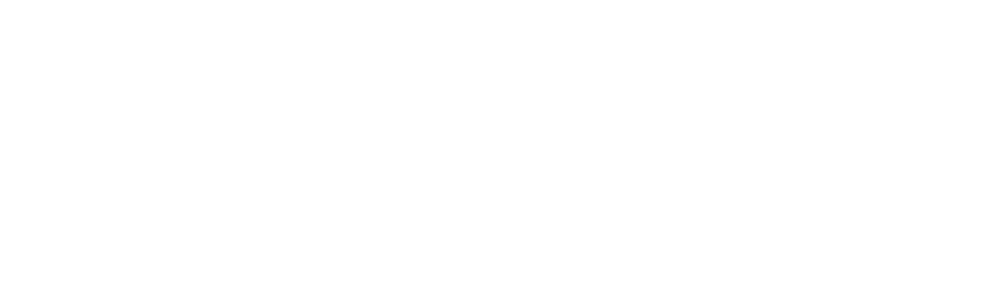 Logo Camera CommercioTorino